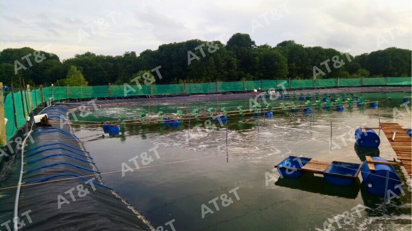 Ứng dụng màng HDPE trong hồ nuôi tôm