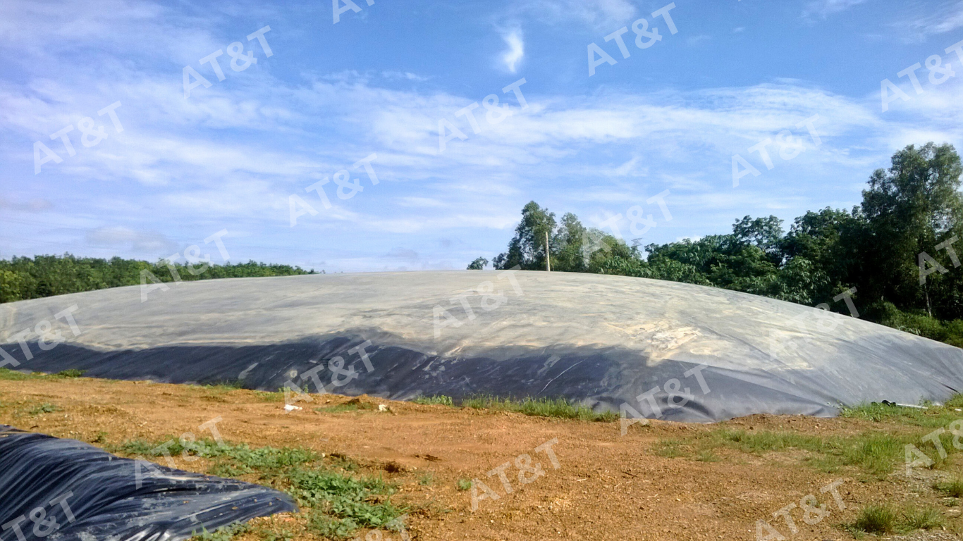 Ứng dụng màng HDPE cho hầm biogas trong chăn nuôi