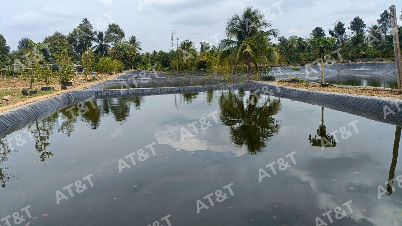 Bạt HDPE và ứng dụng trong lót ao nuôi cá
