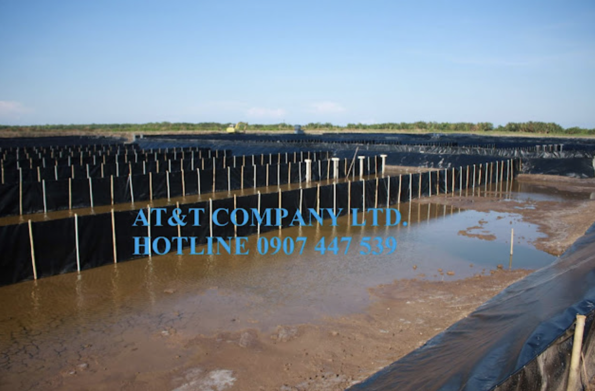 Thi công màng chống thấm HDPE cho hệ thống xử lý nước phân luồng ao nuôi tôm