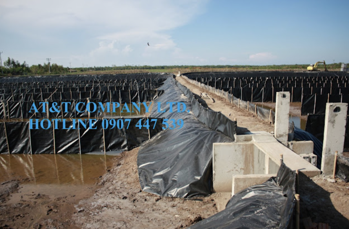 Hệ thống xử lý nước phân luồng ao nuôi tôm