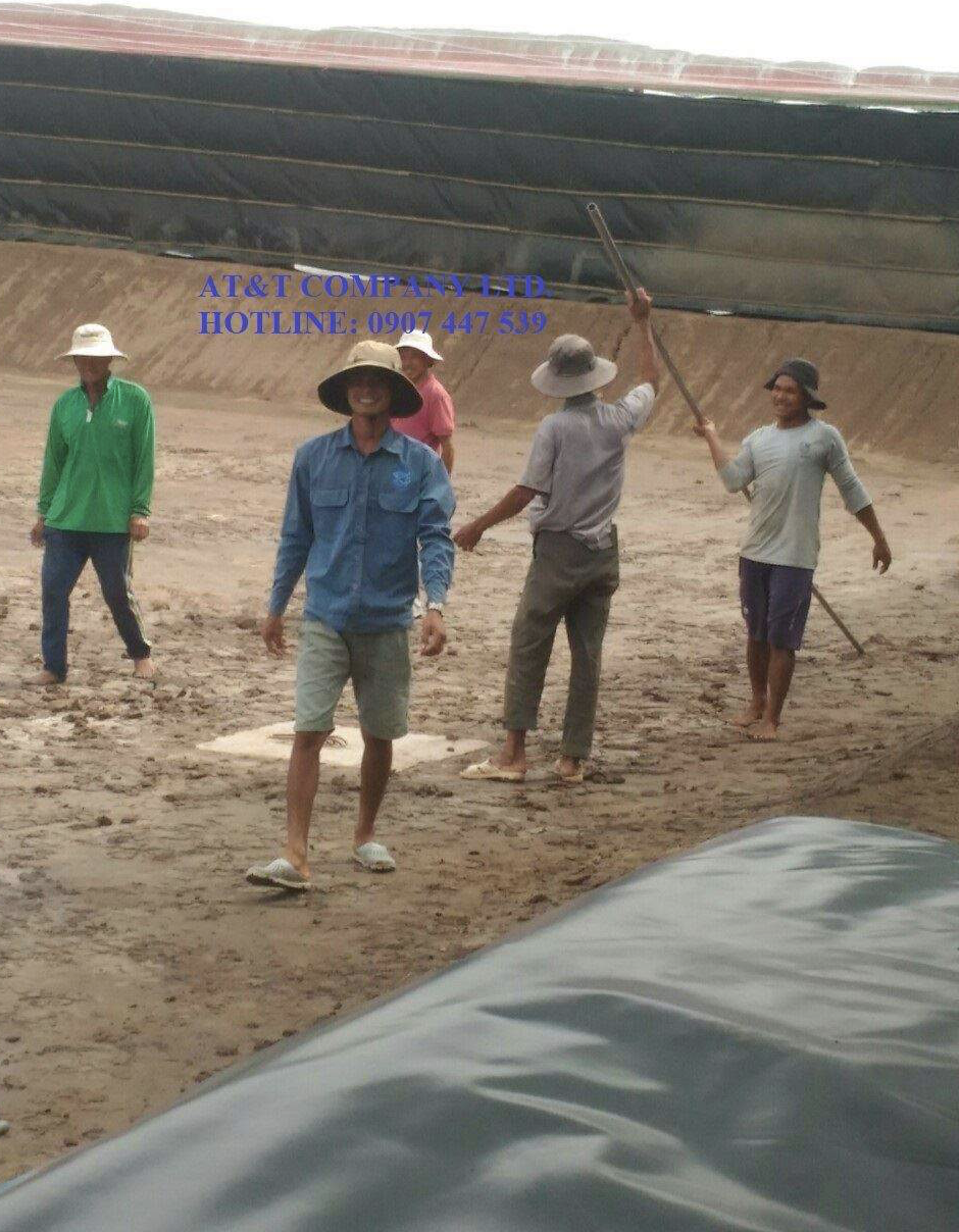 Thi công bạt lót ao nuôi tôm