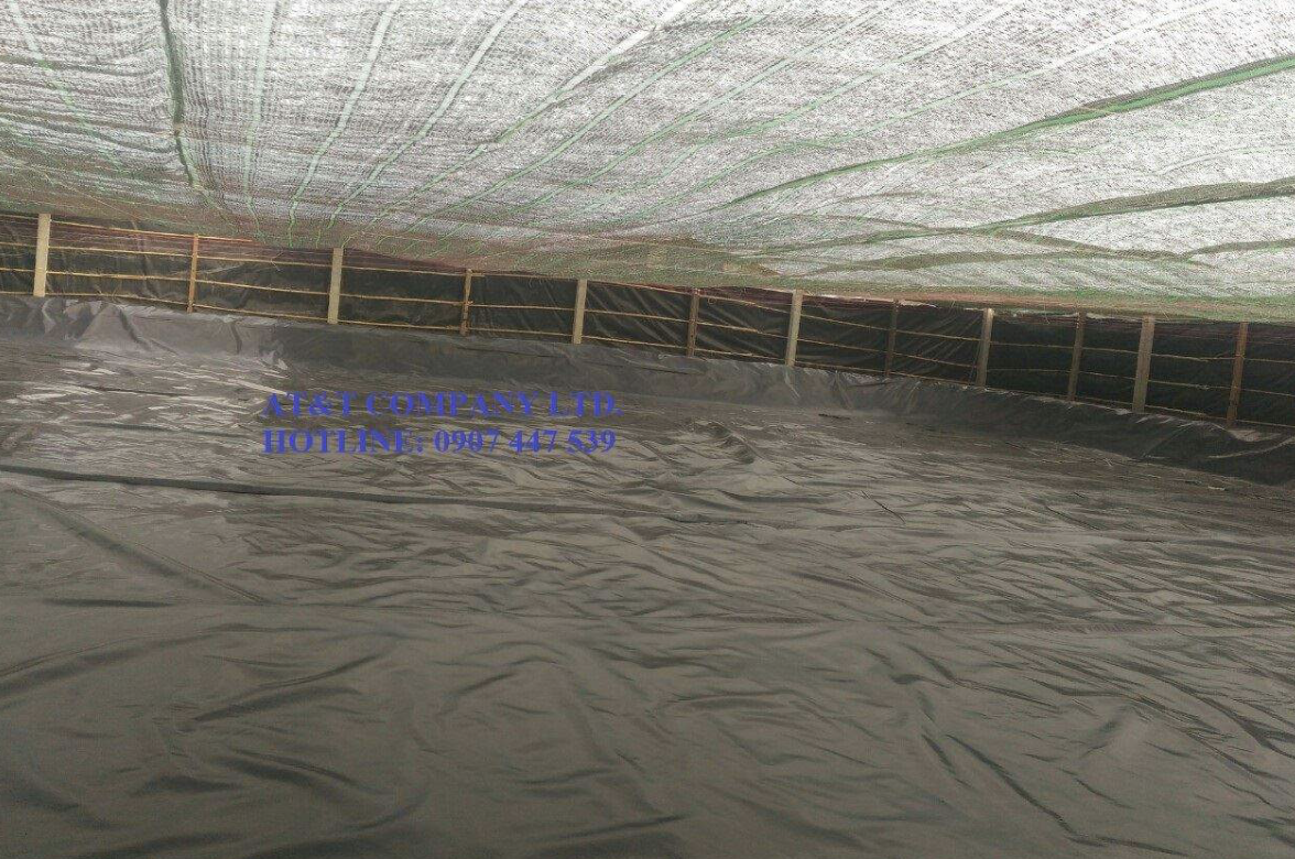 Ao nuôi tôm từ màng HDPE