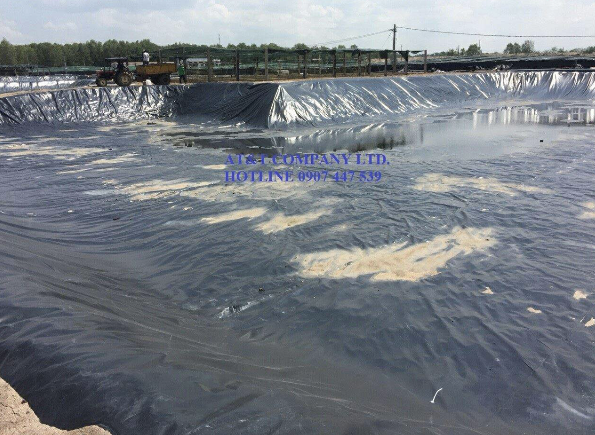 Dự án nuôi tôm CNC trên ao nổi