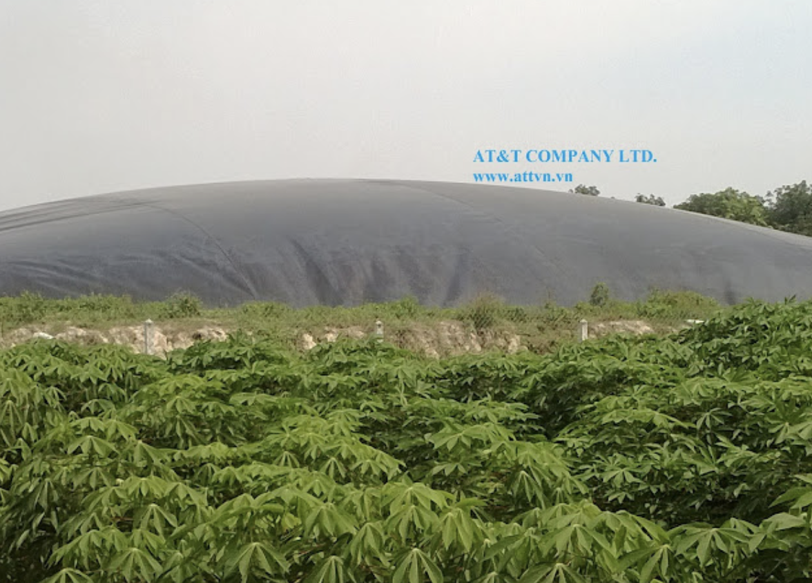 Hầm Biogas từ màng HDPE