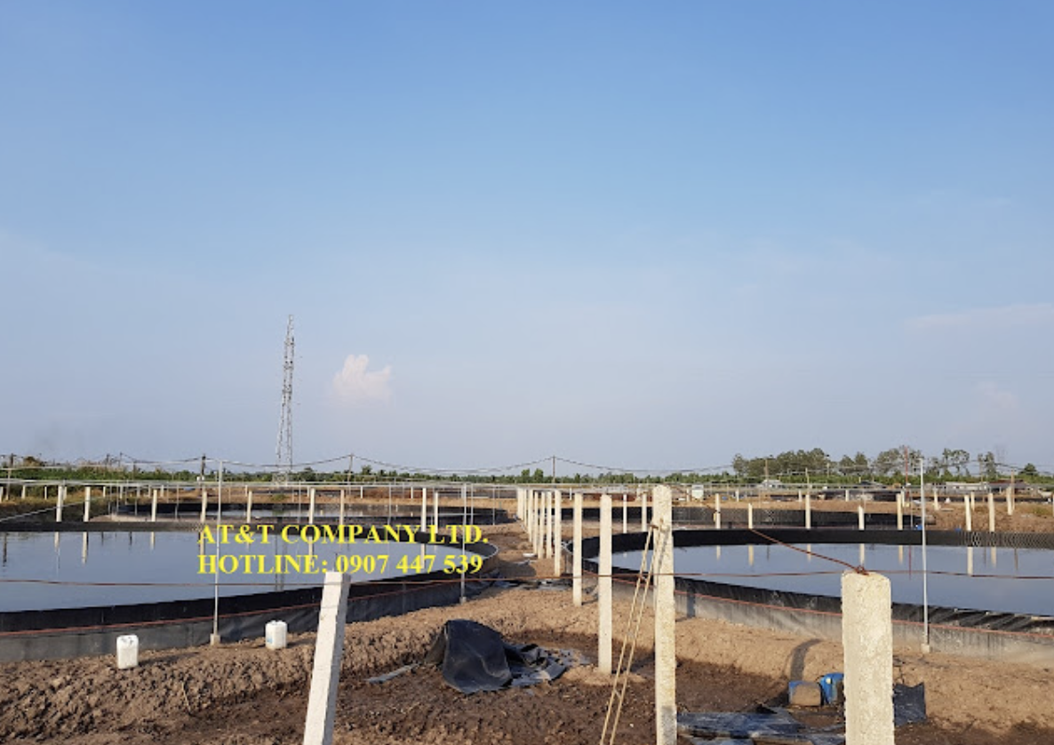 Ao nuôi tôm từ màng chống thấm HDPE