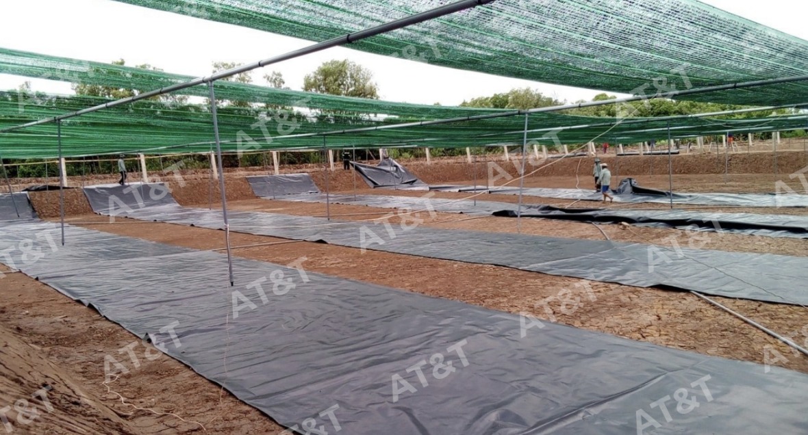 Màng chống thấm HDPE