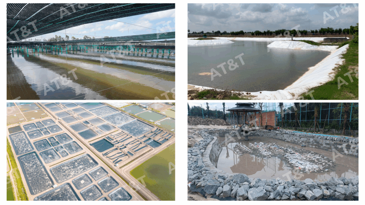 Chống thấm màng HDPE hồ nuôi thủy sản và hồ cảnh quan
