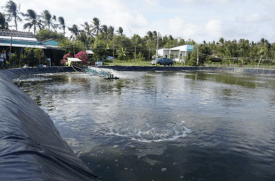 Công trình tại Trà Vinh 2