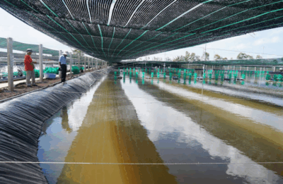 Công trình tại Bến Tre 1