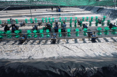 Công trình tại Bến Tre 2