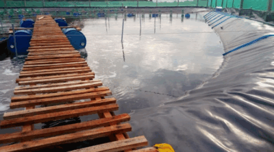 Công trình tại Cà Mau 1