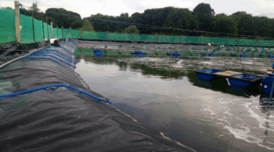 Công trình tại Cà Mau 2