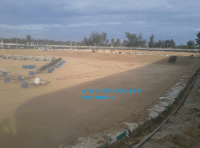 Thi công lót bạt ao nuôi tôm