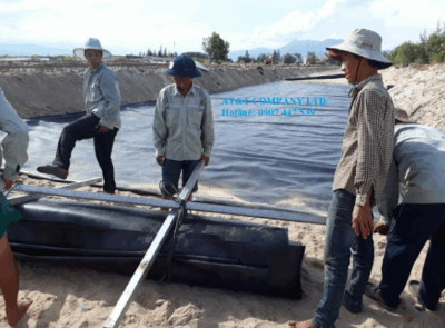 Lót bạt ao nuôi tôm bằng màng chống thấm HDPE