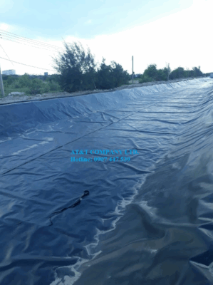 Màng HDPE trong hồ nuôi tôm