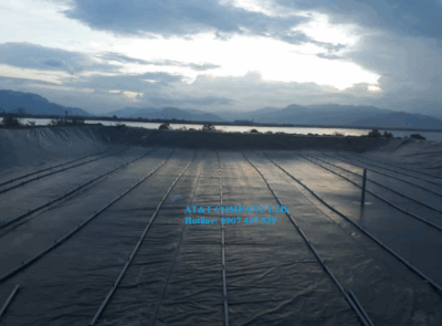 Mô hình lót bạt ao nuôi tôm bằng màng chống thấm HDPE