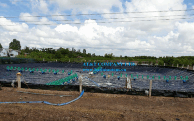 Màng chống thấm HDPE lót bạt nuôi tôm