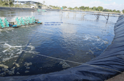 Bạt lót ao tôm ở Trà Vinh