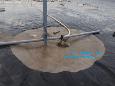 Màng chống thấm HDPE - Bạt lót ao tôm tại Trại 6 Biển - An Biên, Kiên Giang