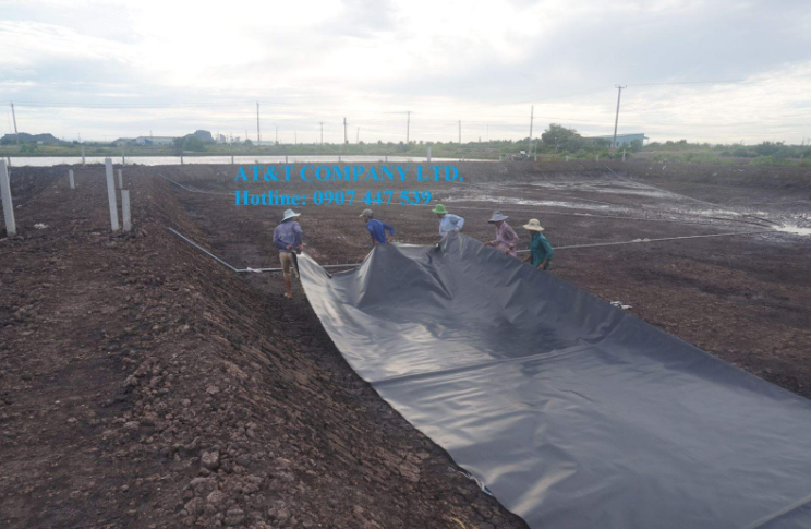 Màng chống thấm HDPE - Lót bạt ao nuôi tôm tại Trại Ba Hòn, Kiên Giang