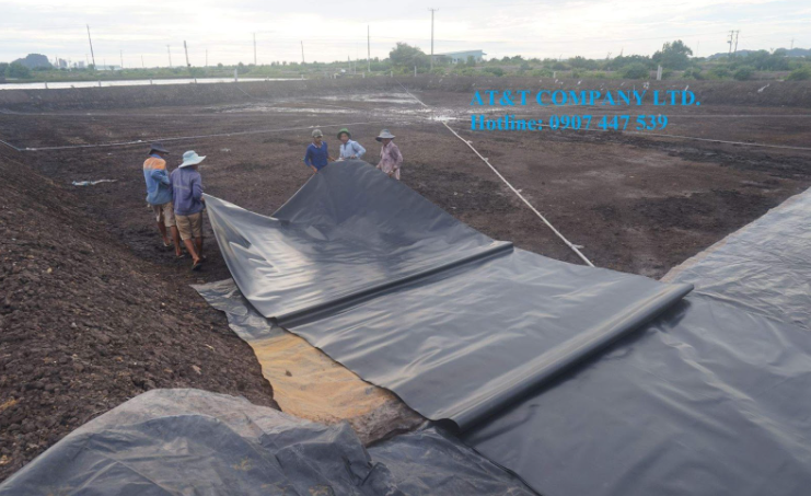 Màng chống thấm HDPE - Lót bạt ao nuôi tôm 