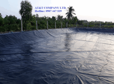 Màng chống thấm HDPE - Lót bạt ao nuôi tôm