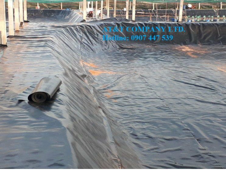 Thi công lót bạt ao nuôi tôm