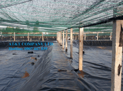 Thi công lót bạt ao nuôi tôm