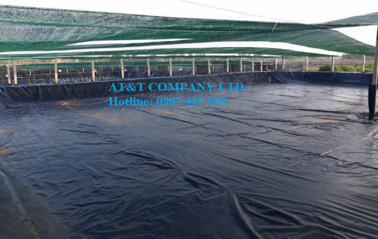 Thi công lót bạt ao nuôi tôm tại Bến Tre