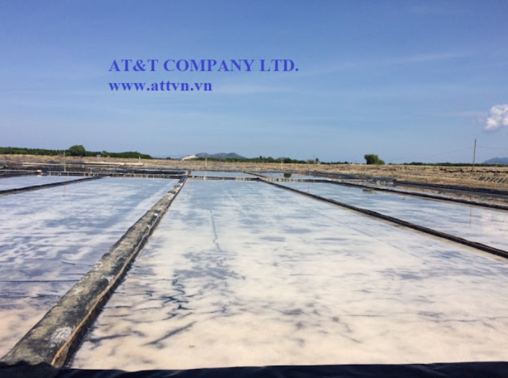 Màng chống thấm HDPE lót ruộng muối