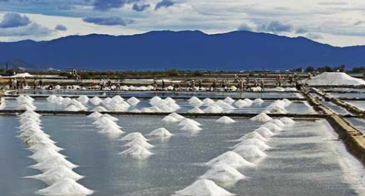 màng chống thấm HDPE cho ruộng muối