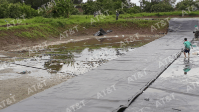 Màng chống thấm HDPE tại TP HCM – Giải pháp bền vững cho mọi công trình