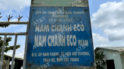 Cung cấp và thi công màng chống thấm HDPE tại trại nuôi tôm Nam Chánh ECO