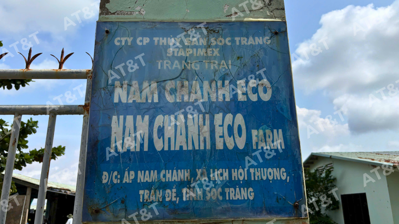 Màng chống thấm HDPE tại trại nuôi tôm Nam Chánh ECO