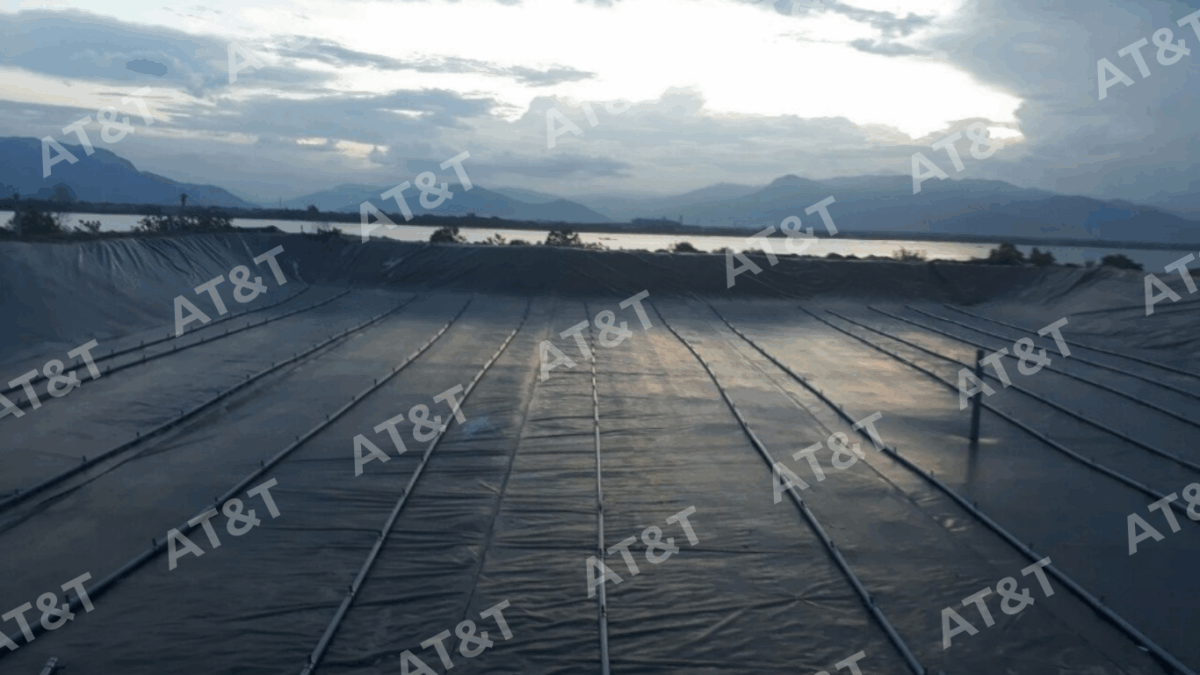 Màng HDPE lót hồ nuôi tôm
