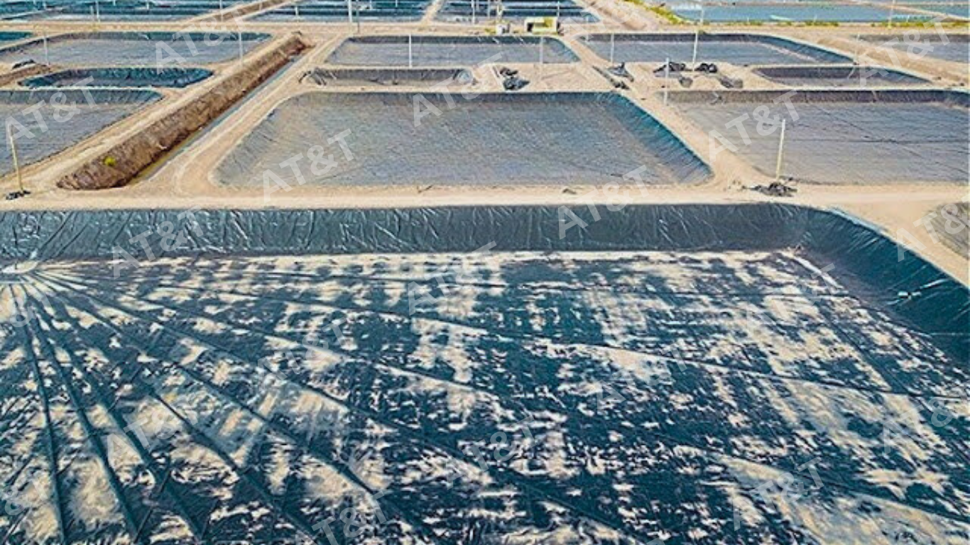 Ứng dụng bạt HDPE đen cho hồ nuôi tôm