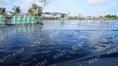 Hướng dẫn cách tính diện tích bạt lót HDPE trong thi công thực tế