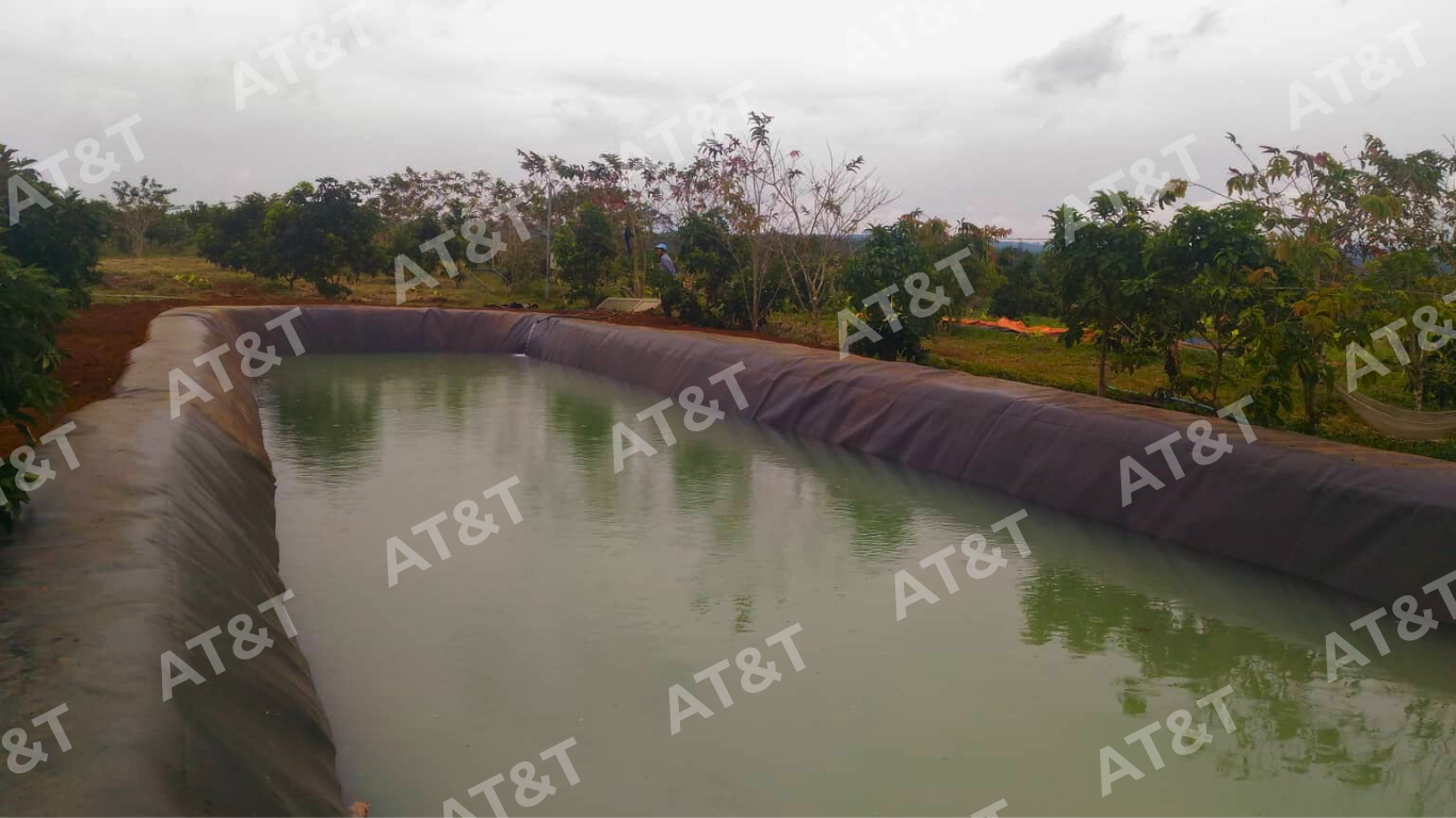 Bạt HDPE lót hồ chứa nước tưới tiêu