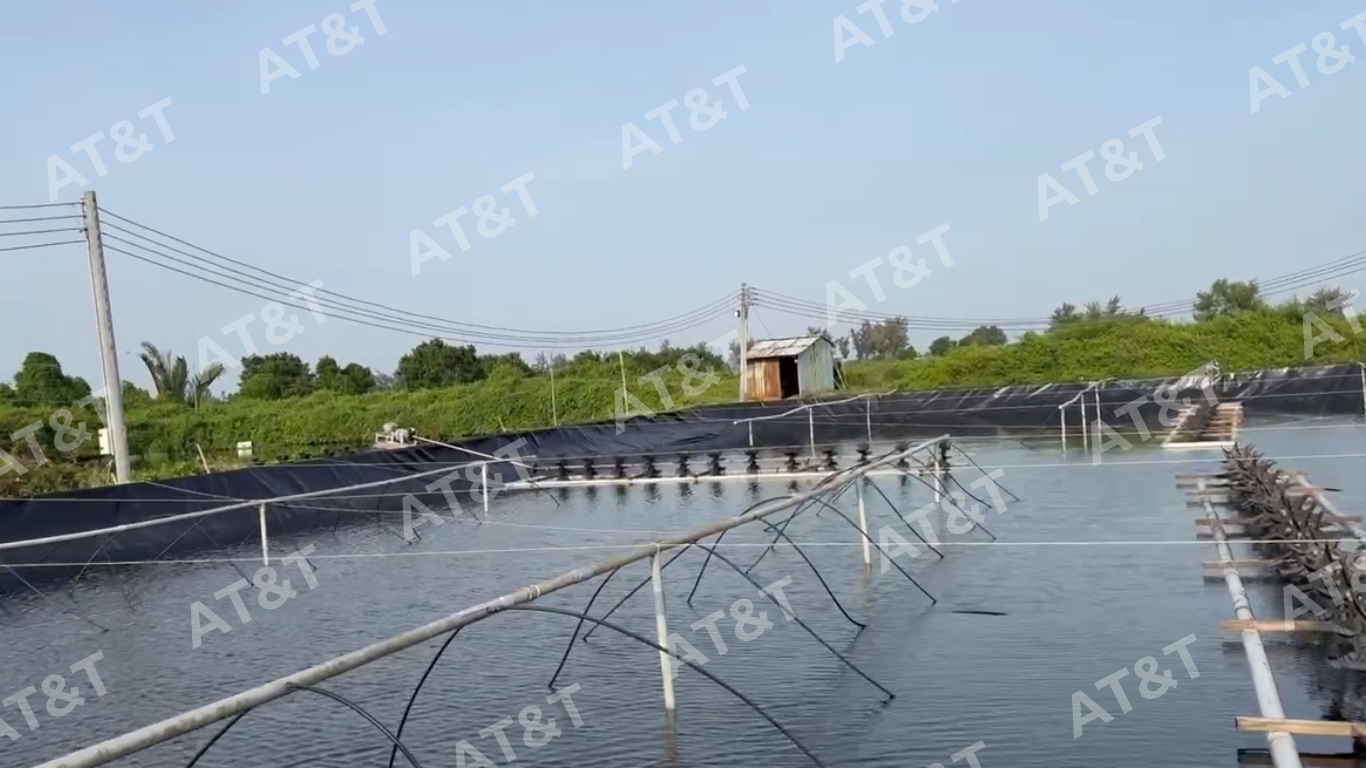 Nhận biết bạt HDPE kém chất lượng