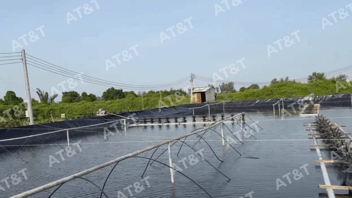 Độ dày phù hợp màng chống thấm HDPE