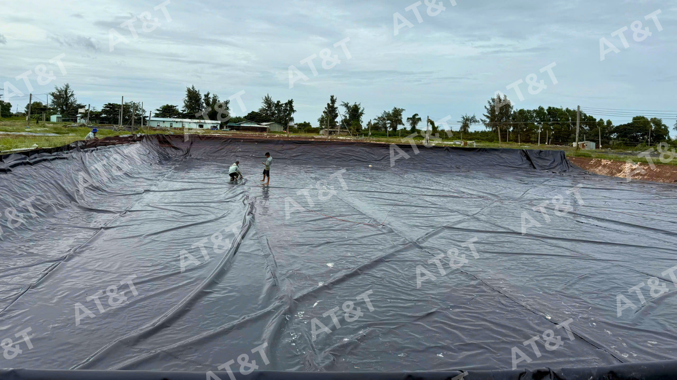 Lót bạt HDPE cho hồ nuôi thủy sản