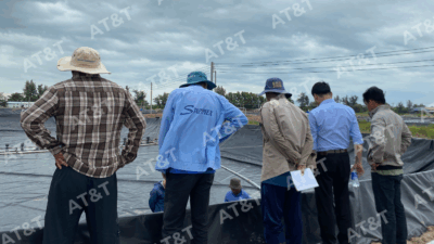 Hoàn thành nghiệm thu màng HDPE 0.5mm tại Trại nuôi tôm Nam Chánh ECO – Sóc Trăng