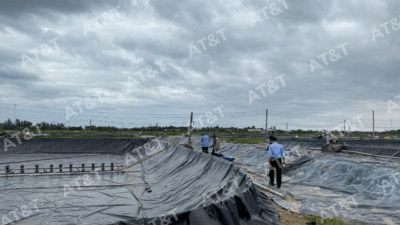 Báo giá màng lót HDPE mới nhất – Bảng giá tham khảo và tư vấn chọn đúng loại