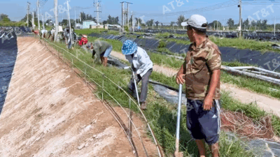 Hướng dẫn thiết kế tính toán bạt HDPE chuẩn kỹ thuật