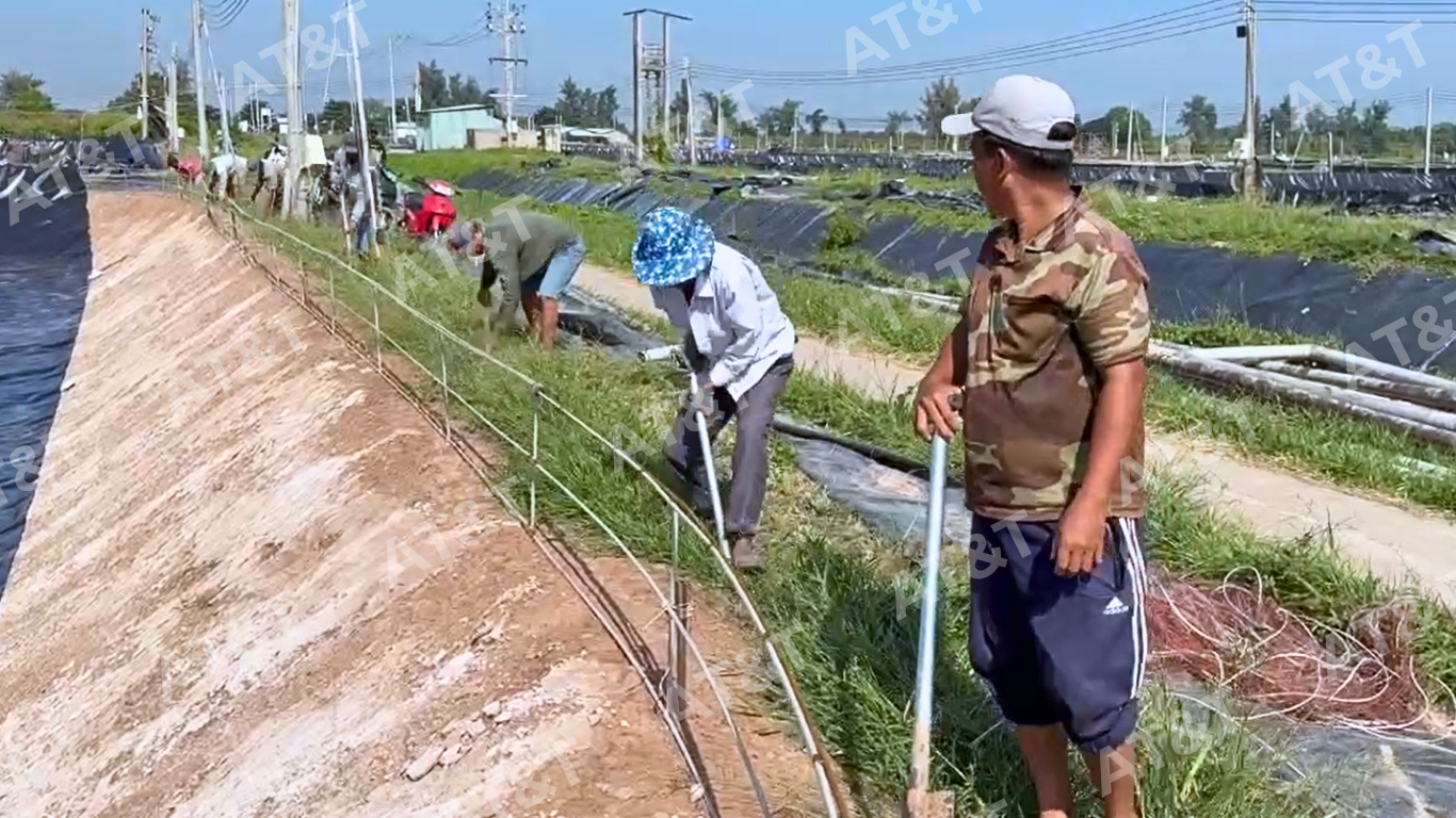 Đào rãnh neo để cố định các tấm màng