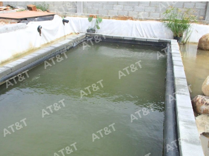 Màng HDPE cắt lẻ giúp thi công hồ cá nhỏ gọn gàng và thẩm mỹ