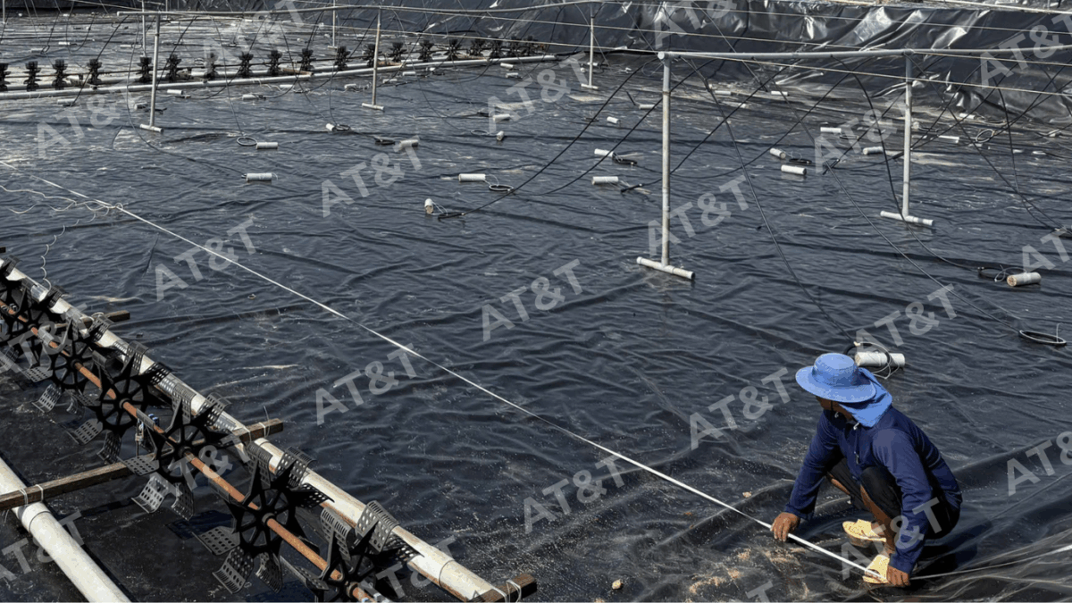 Kiểm tra thông số kỹ thuật giúp đảm bảo chất lượng cuộn màng HDPE