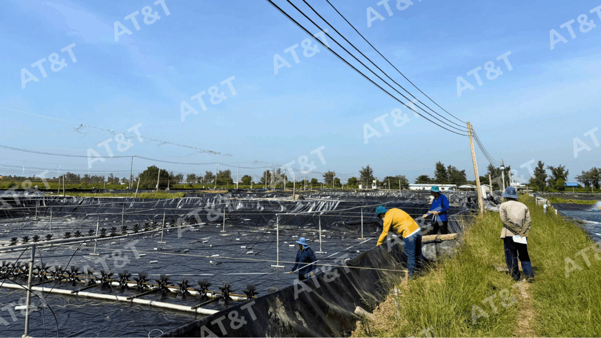 Màng HDPE nguyên sinh có bề mặt đồng đều và độ co giãn tốt.