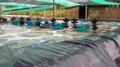 Lưu ý khi sử dụng bạt HDPE lót hồ tôm – A&T